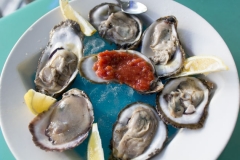 Local Oysters