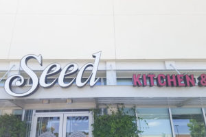 Seed Kitchen and Bar- An East Cobb Gem
