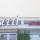 Seed Kitchen and Bar- An East Cobb Gem