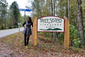 Halloween Candy Wine Tasting at the Three Sisters Vineyard, Dahlonega