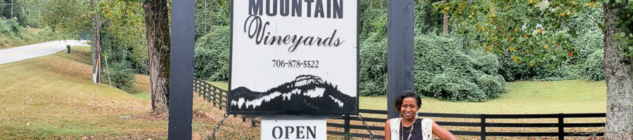 Yonah Mountain Vineyards Tasting Experience