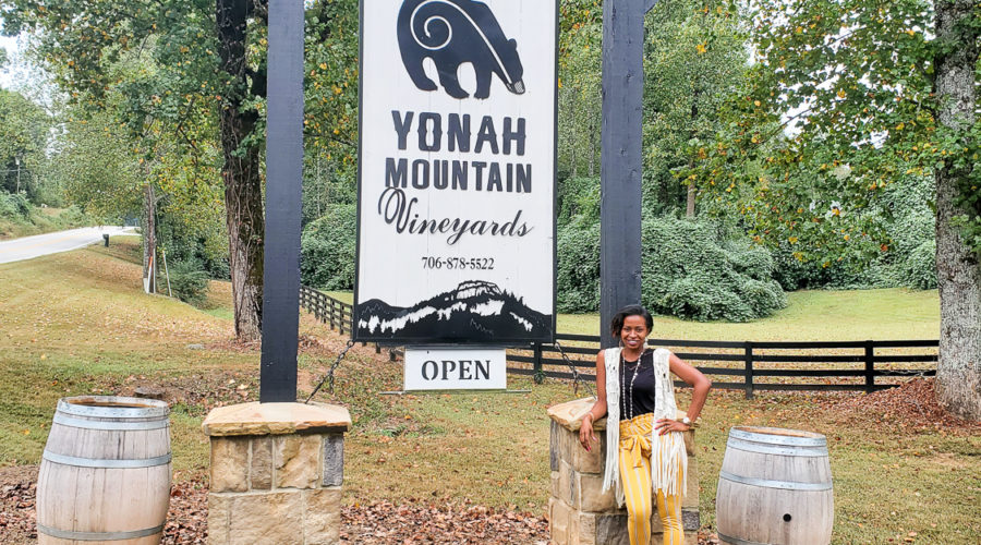Yonah Mountain Vineyards Tasting Experience
